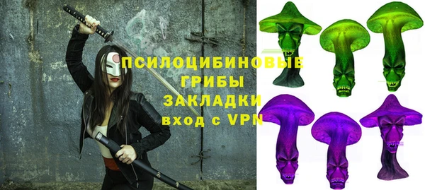 гашик Балахна